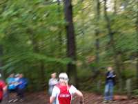 2014.10.12 - 37. Harzgebirgslauf - 42